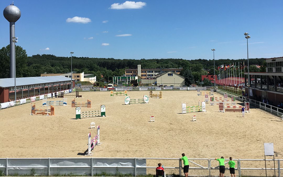 Junior EB Lengyelország